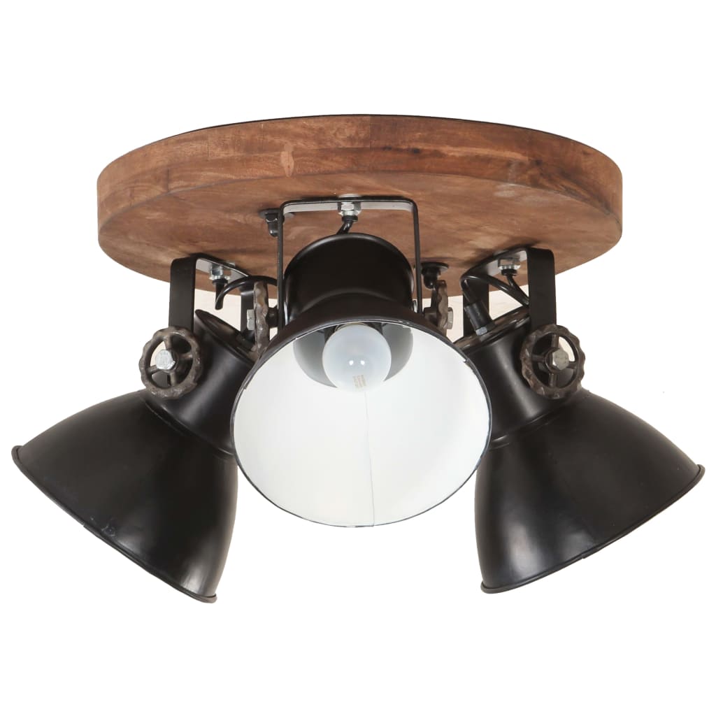 Industriálna stropná lampa 25 W, čierna 42x27 cm E27