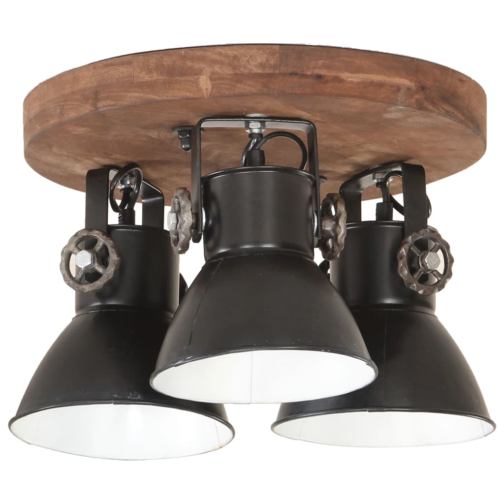 Industriálna stropná lampa 25 W, čierna 42x27 cm E27