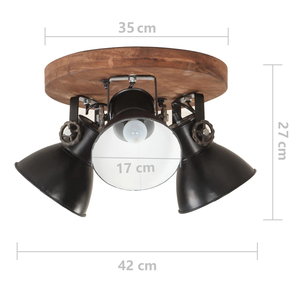 Industriálna stropná lampa 25 W, čierna 42x27 cm E27