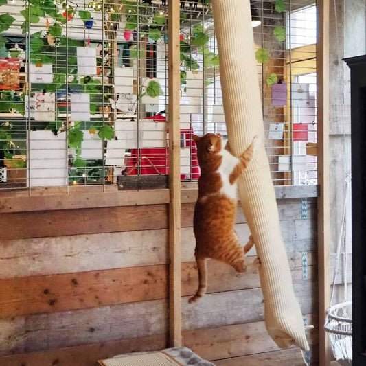 Vak na lezenie pre mačky sisal 180 cm