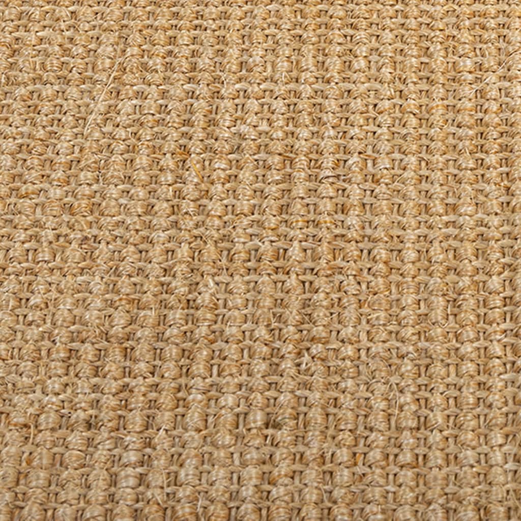 Koberec prírodný sisal 66x150 cm
