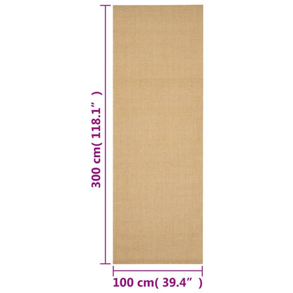 Koberec prírodný sisal 100x300 cm